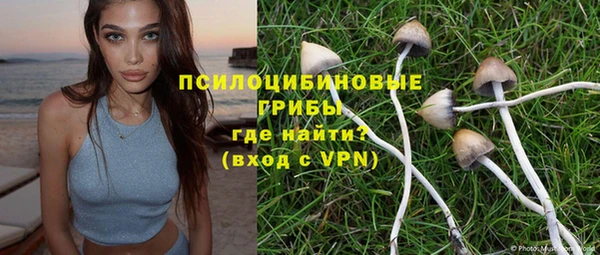 шишки Карпинск