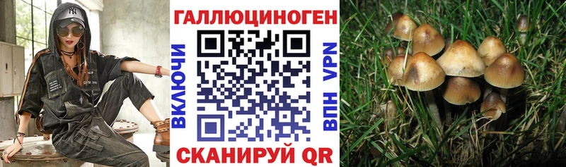 Галлюциногенные грибы Cubensis  Кириллов 